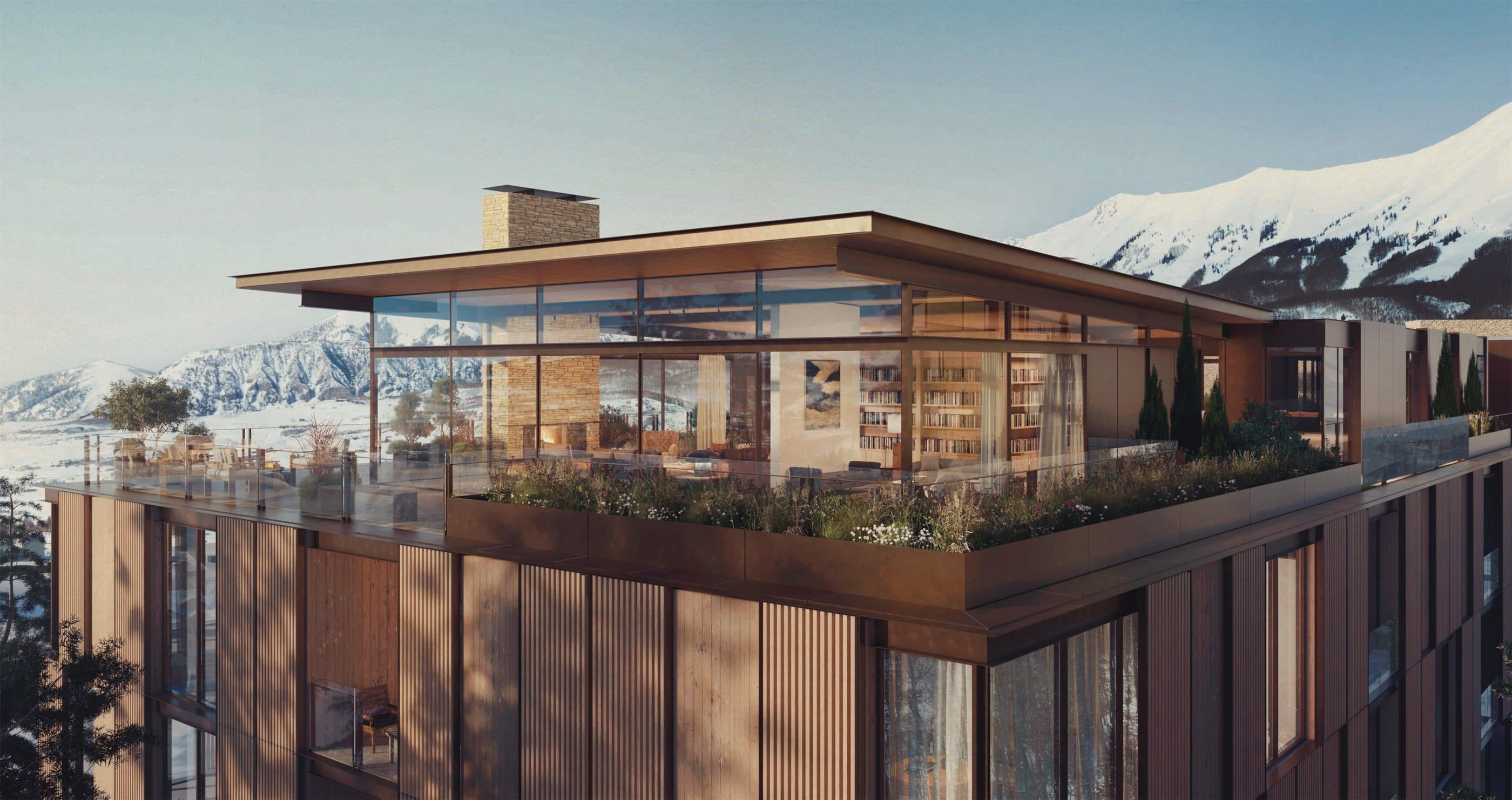 Penthouse and planted roof terrace