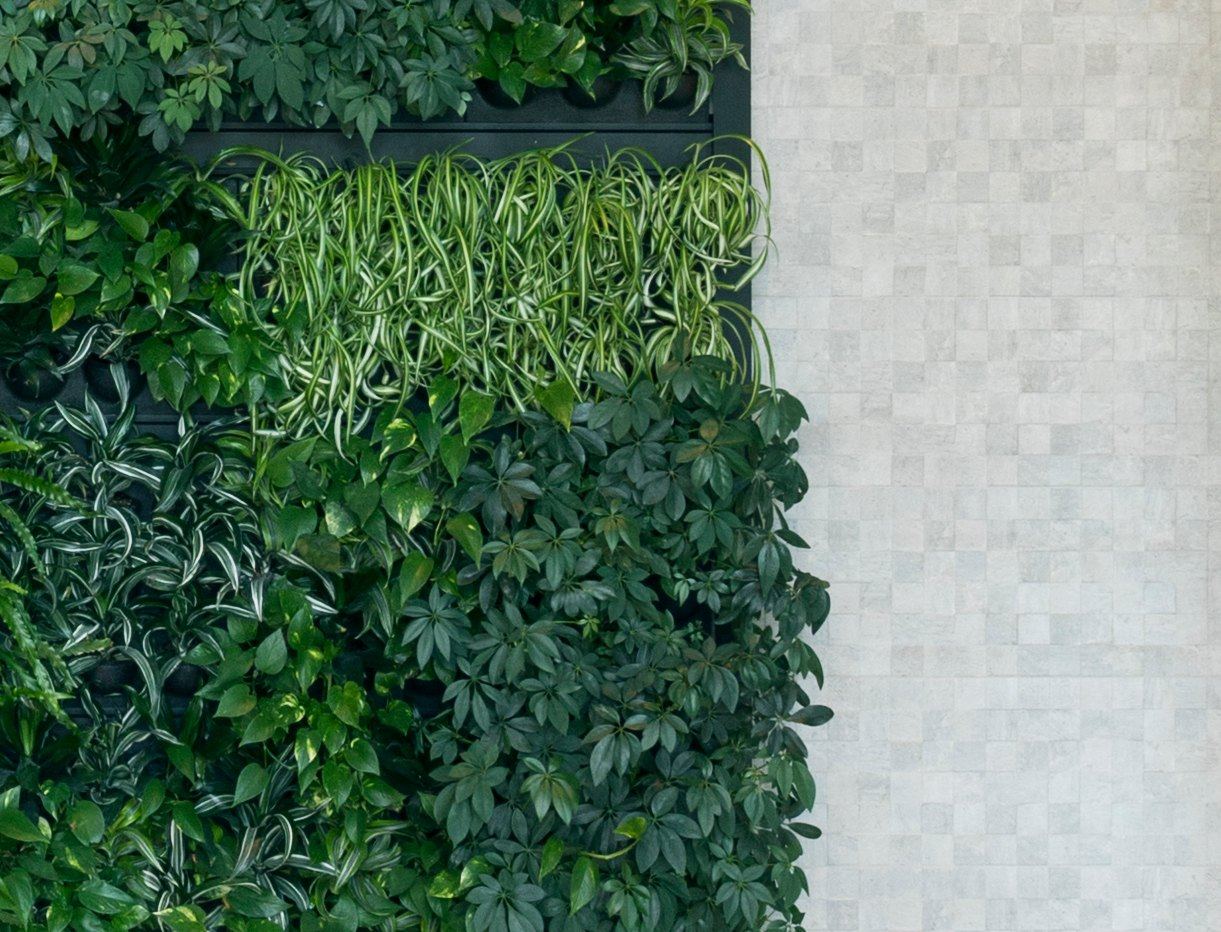 Living wall and stone in the lobby